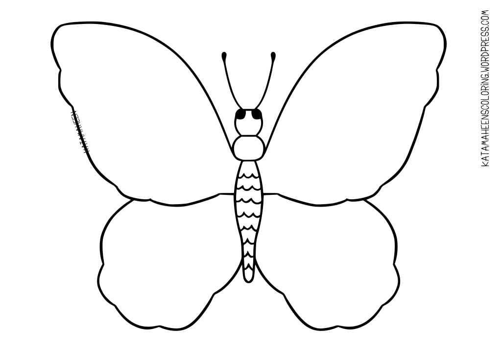 Papillon | Butterfly